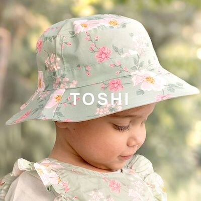Toshi